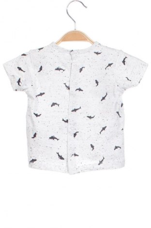 Kinder T-Shirt Sucre d'Orge, Größe 6-9m/ 68-74 cm, Farbe Mehrfarbig, Preis € 4,99