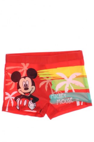 Kinderbadeanzug Disney, Größe 3-4y/ 104-110 cm, Farbe Mehrfarbig, Preis 7,48 €