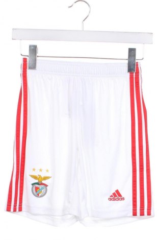 Kinder Shorts Adidas, Größe 11-12y/ 152-158 cm, Farbe Weiß, Preis 12,27 €