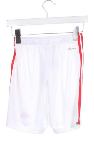 Kinder Shorts Adidas, Größe 11-12y/ 152-158 cm, Farbe Weiß, Preis 35,05 €