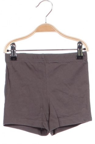 Kinder Shorts Carter's, Größe 3-4y/ 104-110 cm, Farbe Grau, Preis € 3,78