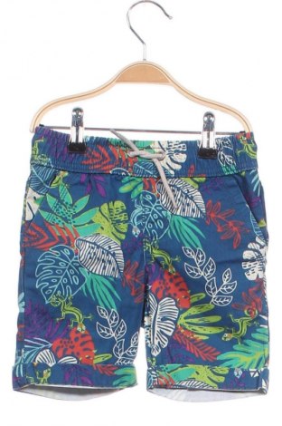 Dětské krátké kalhoty  Du Pareil Au Meme, Velikost 2-3y/ 98-104 cm, Barva Vícebarevné, Cena  160,00 Kč