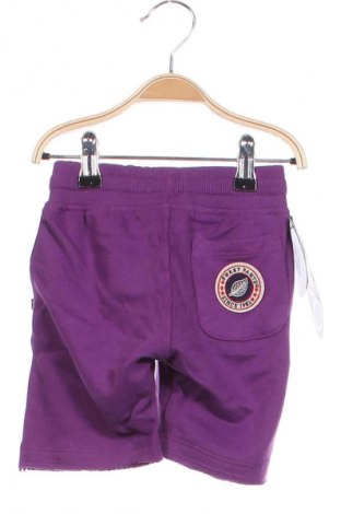 Dětské krátké kalhoty  SWEET PANTS, Velikost 18-24m/ 86-98 cm, Barva Fialová, Cena  209,00 Kč