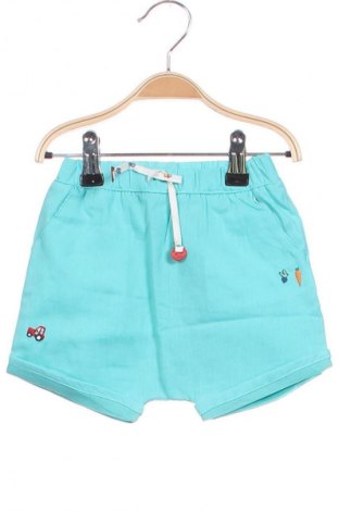 Kinder Shorts Sergent Major, Größe 3-6m/ 62-68 cm, Farbe Grün, Preis 6,99 €