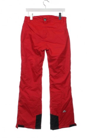 Kinderhose für Wintersport Icepeak, Größe 13-14y/ 164-168 cm, Farbe Rot, Preis 48,02 €