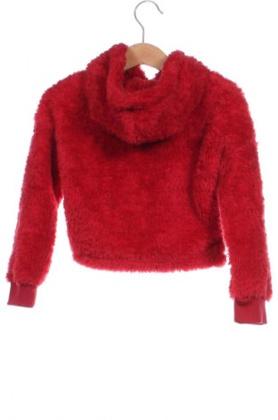 Kinder Sweatshirts Terranova, Größe 2-3y/ 98-104 cm, Farbe Rot, Preis € 18,56