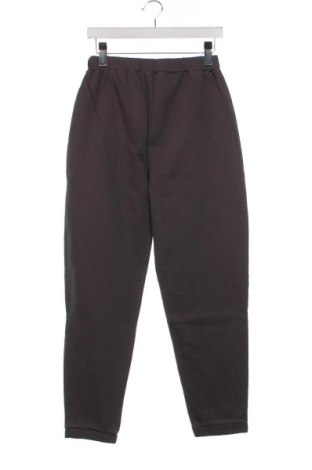 Pantaloni de trening, pentru copii, Mărime 15-18y/ 170-176 cm, Culoare Gri, Preț 47,99 Lei