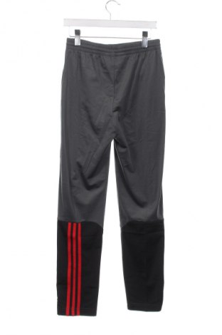 Pantaloni de trening, pentru copii Adidas, Mărime 14-15y/ 168-170 cm, Culoare Gri, Preț 234,21 Lei