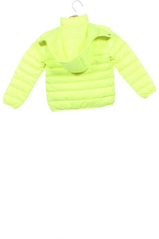 Kinderjacke La Compagnie des Petits, Größe 5-6y/ 116-122 cm, Farbe Grün, Preis 25,99 €