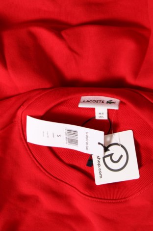 Herren Shirt Lacoste, Größe L, Farbe Rot, Preis € 75,26