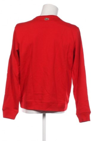 Herren Shirt Lacoste, Größe L, Farbe Rot, Preis € 75,26