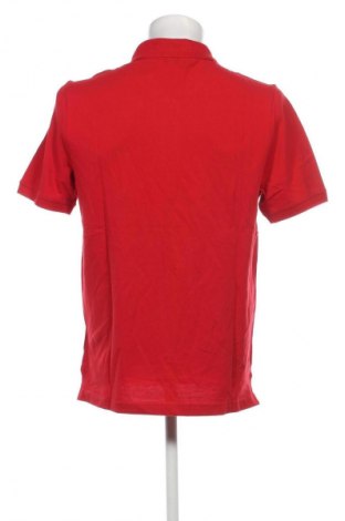 Herren T-Shirt Hechter, Größe XL, Farbe Rot, Preis € 21,99