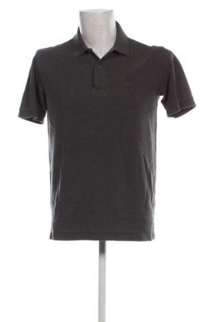 Herren T-Shirt Lacoste, Größe M, Farbe Grau, Preis 57,53 €