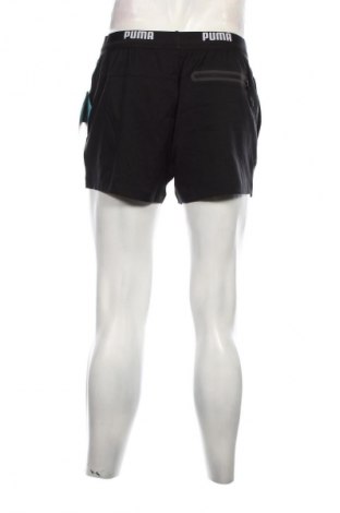 Herren Shorts PUMA, Größe L, Farbe Schwarz, Preis € 16,99