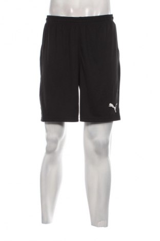 Herren Shorts PUMA, Größe L, Farbe Schwarz, Preis 10,43 €