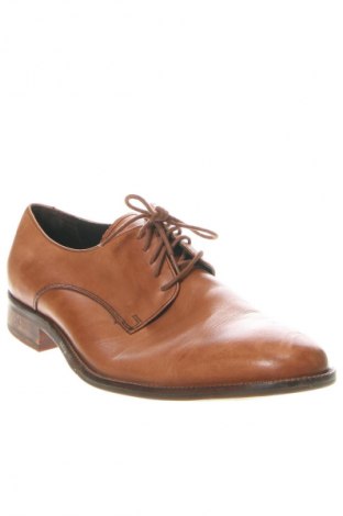 Herrenschuhe Cole Haan, Größe 43, Farbe Braun, Preis € 38,99