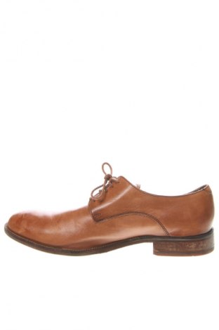 Herrenschuhe Cole Haan, Größe 43, Farbe Braun, Preis 47,29 €