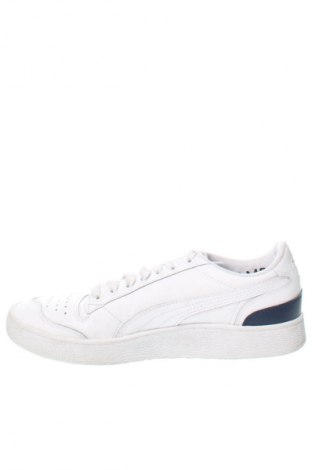 Herrenschuhe PUMA, Größe 42, Farbe Weiß, Preis 43,79 €