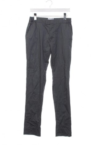 Ανδρικό παντελόνι, Μέγεθος S, Χρώμα Γκρί, Τιμή 17,94 €