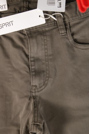 Herrenhose Esprit, Größe M, Farbe Grün, Preis 11,99 €