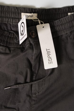 Herrenhose Esprit, Größe L, Farbe Grau, Preis 11,99 €