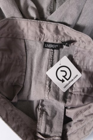 Herrenhose Livergy, Größe M, Farbe Grau, Preis € 27,70