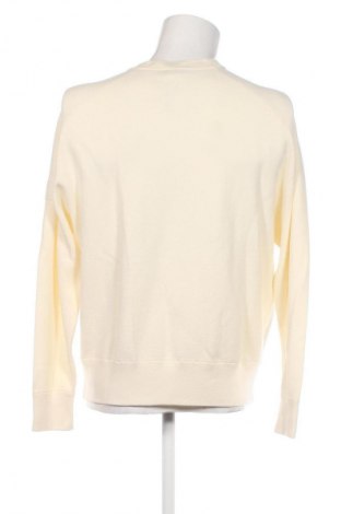 Herrenpullover Calvin Klein, Größe L, Farbe Ecru, Preis € 62,99