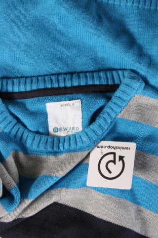 Herrenpullover Reward, Größe S, Farbe Mehrfarbig, Preis € 7,49