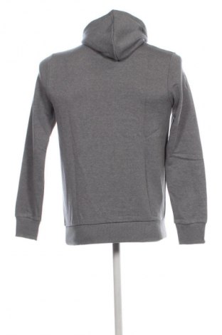 Herren Sweatshirt Tom Tailor, Größe S, Farbe Grau, Preis € 17,49