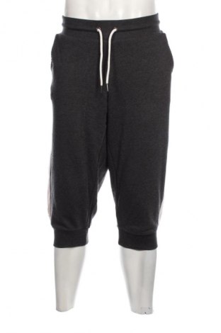 Ανδρικό αθλητικό παντελόνι H.I.S, Μέγεθος XL, Χρώμα Γκρί, Τιμή 10,67 €