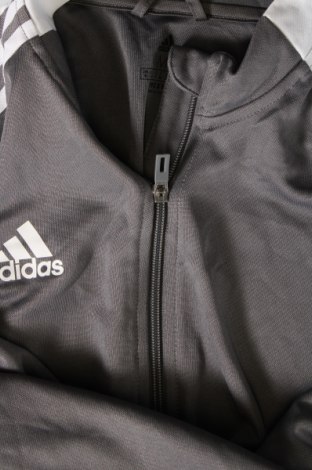 Bluză trening de bărbați Adidas, Mărime M, Culoare Gri, Preț 157,89 Lei