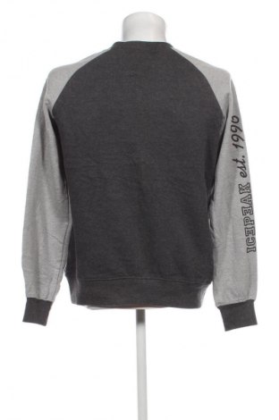 Herren Sportoberteil Icepeak, Größe S, Farbe Grau, Preis € 16,99