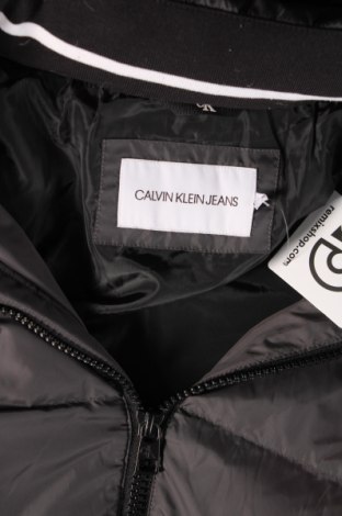 Ανδρικό μπουφάν Calvin Klein Jeans, Μέγεθος L, Χρώμα Γκρί, Τιμή 92,79 €