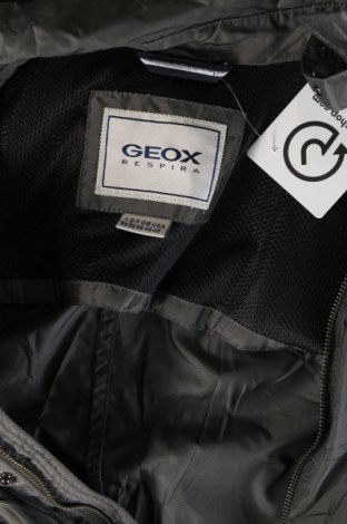 Мъжко яке Geox, Размер XL, Цвят Сив, Цена 96,00 лв.