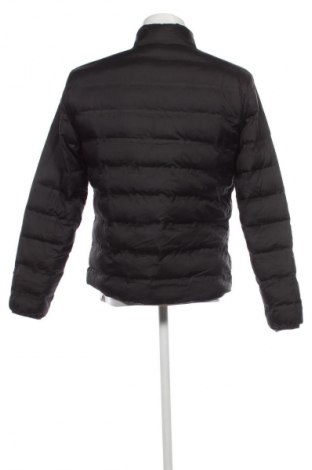 Herrenjacke Hackett, Größe M, Farbe Schwarz, Preis 45,49 €