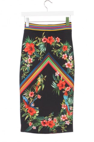 Fustă Pinko, Mărime XS, Culoare Multicolor, Preț 261,75 Lei