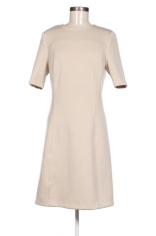 Kleid Calvin Klein, Größe L, Farbe Beige, Preis € 94,99