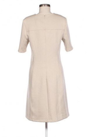 Kleid Calvin Klein, Größe L, Farbe Beige, Preis € 94,99