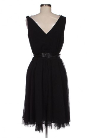 Kleid Dorothy Perkins, Größe M, Farbe Schwarz, Preis 31,71 €