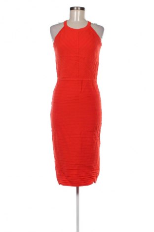 Kleid Forever New, Größe M, Farbe Rot, Preis € 57,06