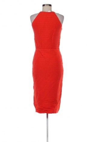 Kleid Forever New, Größe M, Farbe Rot, Preis € 57,06