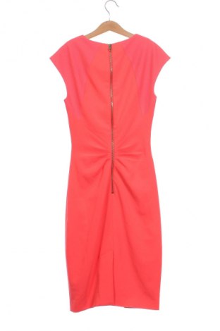 Kleid Ted Baker, Größe XS, Farbe Rosa, Preis € 60,49