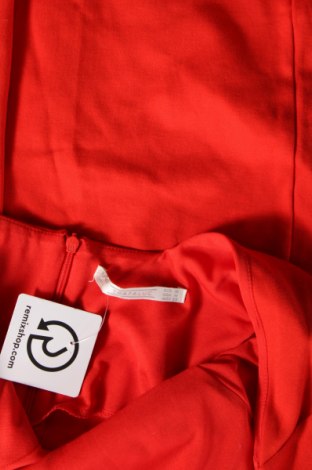 Kleid Zara Trafaluc, Größe M, Farbe Rot, Preis € 4,29