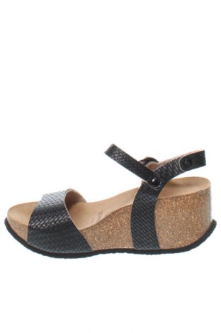 Sandalen Sommers, Größe 36, Farbe Schwarz, Preis € 13,99