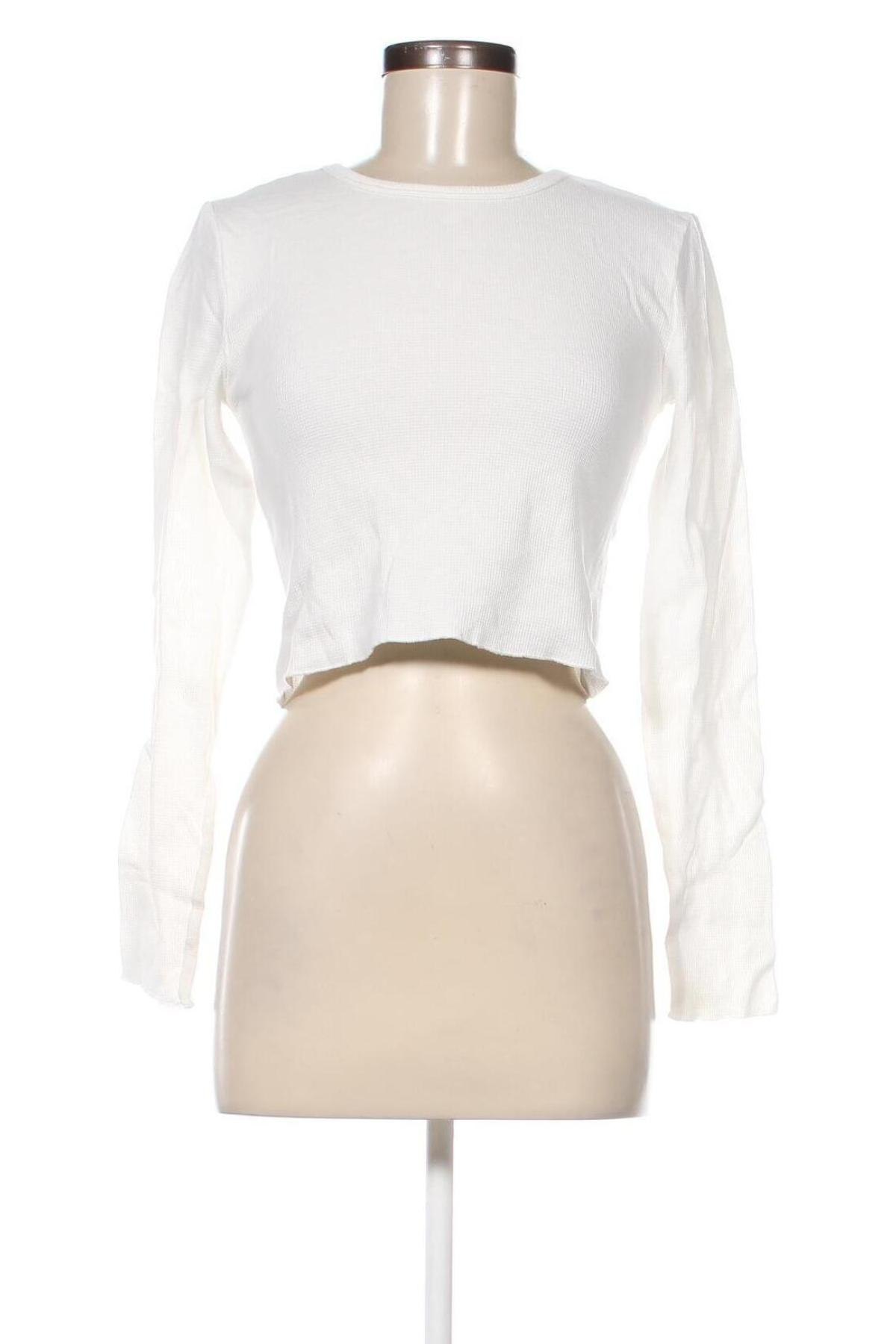 Damen Shirt, Größe L, Farbe Ecru, Preis € 3,79