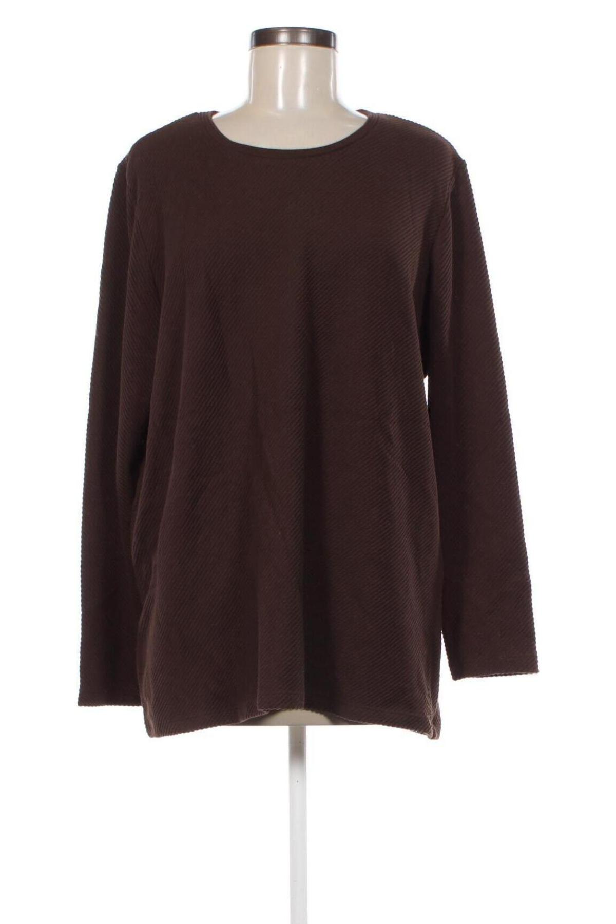 Damen Shirt Anko, Größe L, Farbe Braun, Preis € 4,99