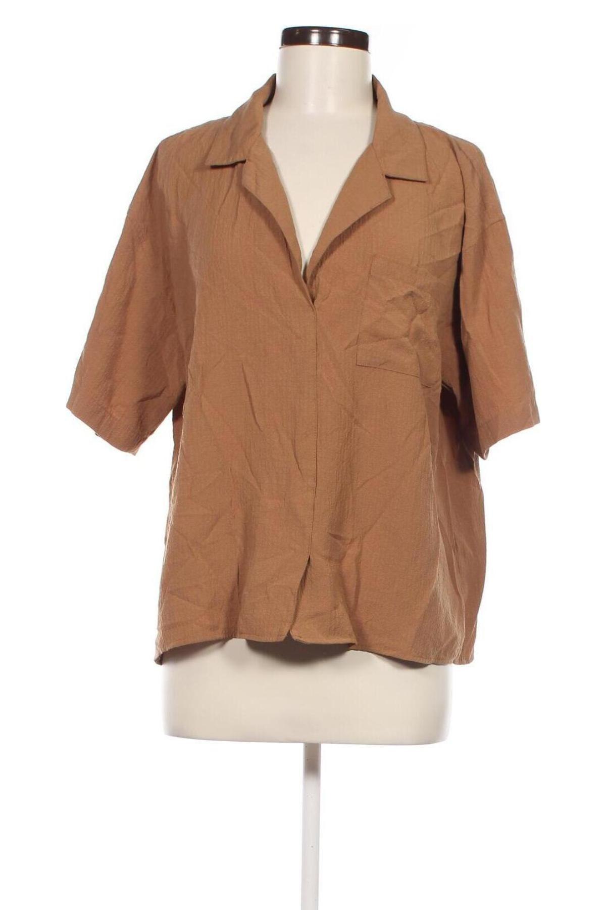 Damen Shirt Calvin Klein, Größe L, Farbe Braun, Preis 76,54 €