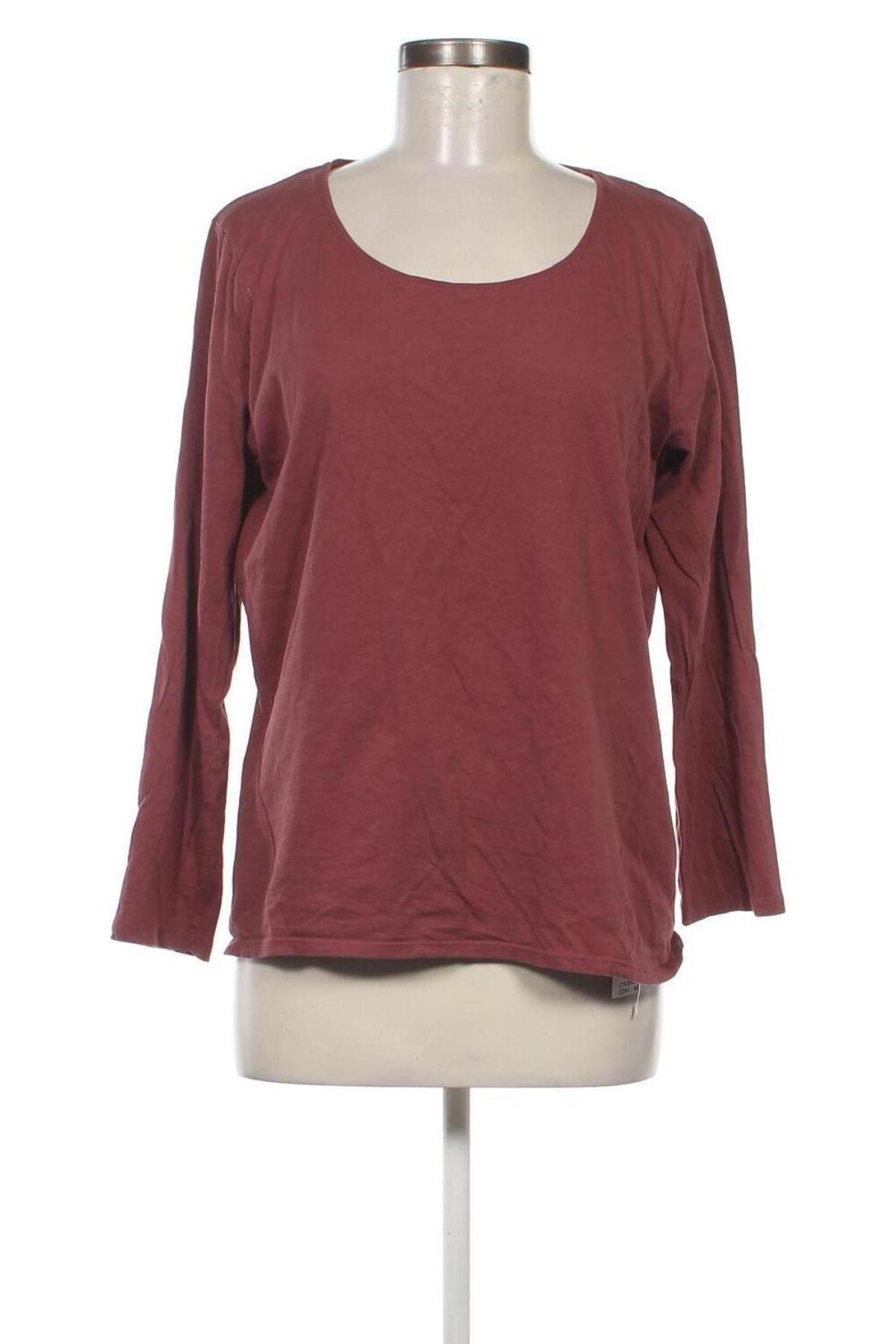 Damen Shirt In Extenso, Größe XL, Farbe Aschrosa, Preis € 4,99