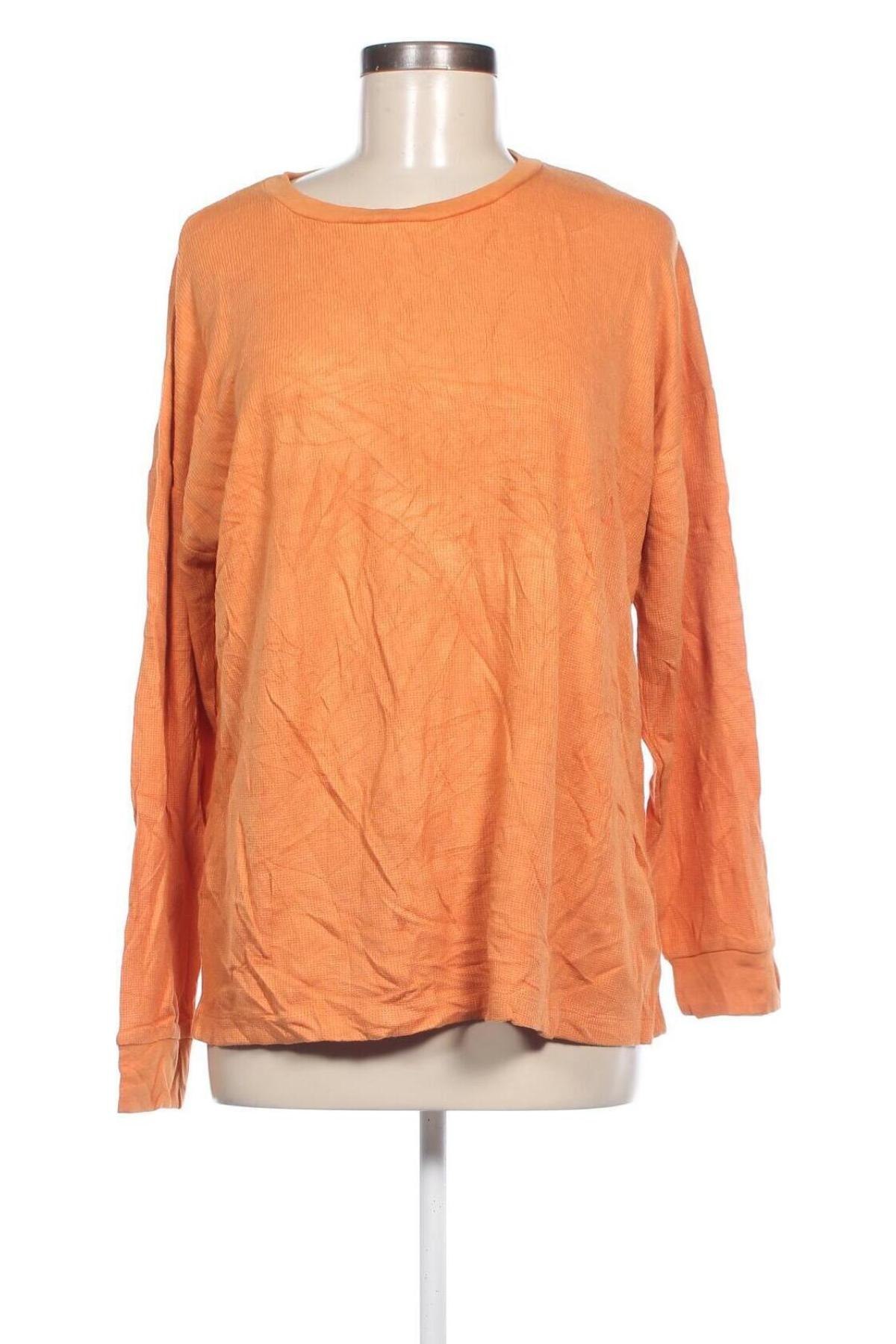 Damen Shirt Seed, Größe XL, Farbe Orange, Preis € 4,99