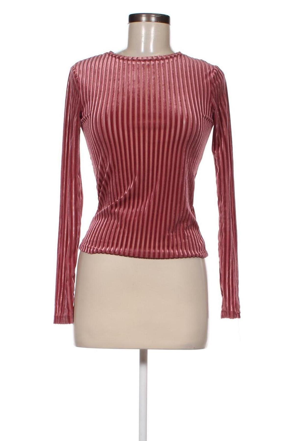 Damen Shirt Terranova, Größe S, Farbe Rosa, Preis € 5,12